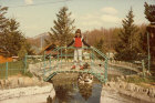 Immagine11.jpg (70184 byte)