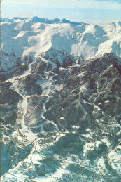 Scansione002.jpg (87577 byte)