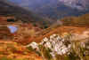20031030214651_Appennino Reggiano - avancorpo settentrionale di M. Prado (autunnale).jpg (113021 byte)