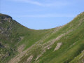 img_1332.jpg (55046 byte)