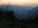IMG_2972.jpg (47283 byte)