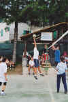 volley01.jpg (51341 byte)