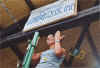 volley06.jpg (41150 byte)