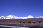 yaksinmarcia.jpg (95551 byte)
