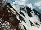 200451623317_pano.jpg (109538 byte)