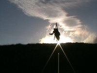 20047903210_Cattura01_0015.jpg (31396 byte)