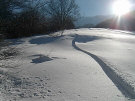 200433185759_Im000256.jpg (59690 byte)