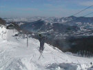 200433235217_03_03_2004_0003.jpg (34790 byte)