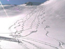 2004340020_03_03_2004_0032.jpg (38161 byte)