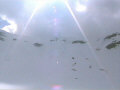 Prado 02_04_2004_0067.jpg (65707 byte)
