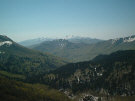 2004520222023_IM002032.jpg (58432 byte)
