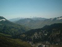 2004520222023_IM002032.jpg (58432 byte)