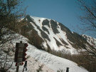 2004520222157_IM002044.jpg (85920 byte)