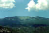 Crinale_estate01.jpg (64299 byte)