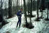 Davide_bosco.jpg (87248 byte)