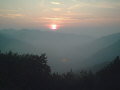 im002117.jpg (36866 byte)