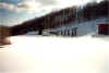 image10.jpg (23863 byte)