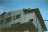 image15.jpg (25577 byte)