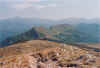 image33.jpg (59012 byte)