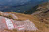 image39.jpg (50180 byte)