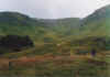 image43.jpg (57362 byte)