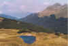 image46.jpg (55855 byte)