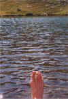 image51.jpg (65162 byte)