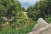 image55.jpg (93144 byte)