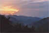 image60.jpg (34184 byte)