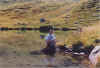 image65.jpg (52207 byte)