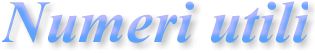 t_numeri.jpg (4726 byte)